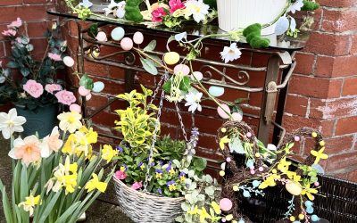 Easter Paradise